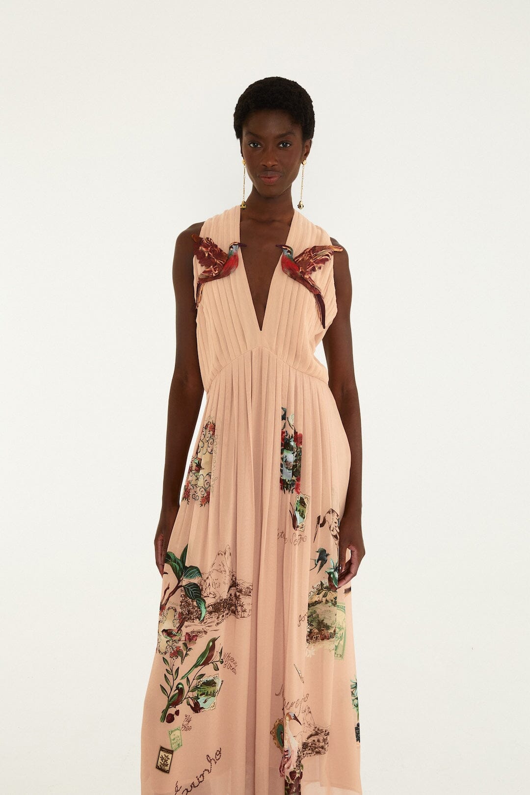 Robe longue FARM Rio Bird Poetry rose poudré, décolleté plongeant en V et jupe plissée imprimée – vue de face